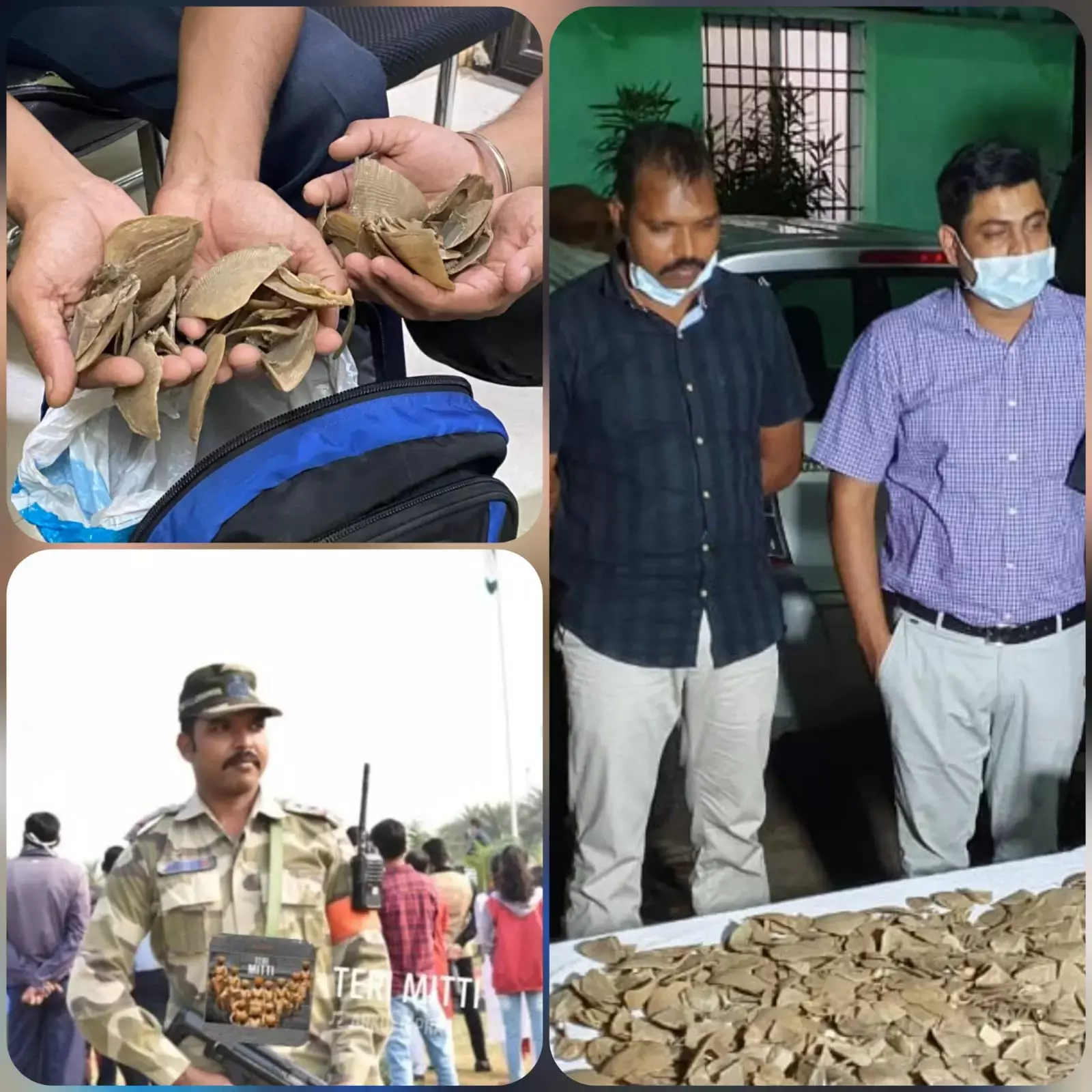 सब इंस्पेक्टर गिरफ्तार: पेंगुलिन शल्क के साथ एसआई जितेंद्र पोरचे गिरफ़्तार….तस्करी का आरोप