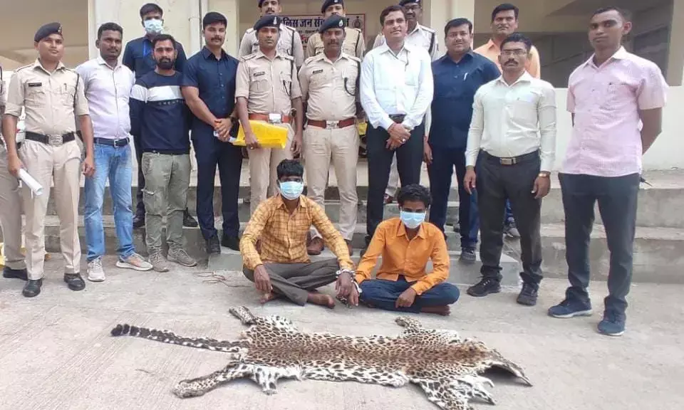 तेंदुए खाल की तस्करी करते 2 गिरफ्तार, बोरों में भरकर तलाश रहे थे ग्राहक