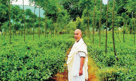 CG-टी बोर्ड गठन ब्रेकिंगः अघोरेश्वर बाबा संभव राम की कोशिश रंग दिखाई, सीएम भूपेश बघेल ने छत्तीसगढ़ मेें टी-बोर्ड गठन का किया ऐलान, आश्रम में चाय और कॉफी के लहलहाते क्रॉप को देखकर मुख्यमंत्री हुए थे बेहद प्रभावित