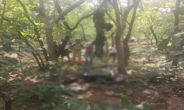 प्रेमी जोड़े की लाश: एक सप्ताह पहले गायब हुये प्रेमी जोड़े का शव मिला फंदे पर लटकता, पुलिस जांच में जुटी