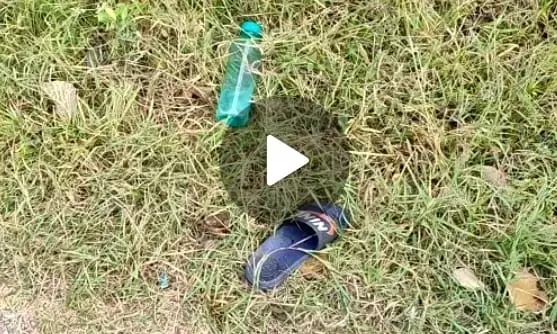 एक्सीडेंट में दो की मौतः बाइक पर निकले दो युवकों तेज रफ़्तार वाहन ने मारी टक्कर, दोनों की मौके पर ही मौत