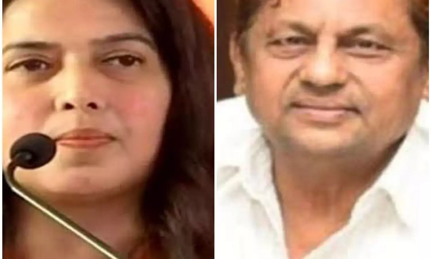 सांसद सरोज पांडेय की मंत्री मोहम्मद अकबर को सीधी चुनौती, नहीं जीत पाएंगे कवर्धा से चुनाव, जरुरत पड़ा तो मैं खुद उतरुंगी