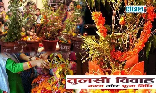 तुलसी विवाह का महत्व: जानिए कितने बजे है शुभ मुहूर्त.... घर से दरिद्रता दूर करने के लिए पत्तों को छूकर बोले ये मंत्र.... इस कथा का पाठ करने से वैवाहिक जीवन होता है सुखमय...