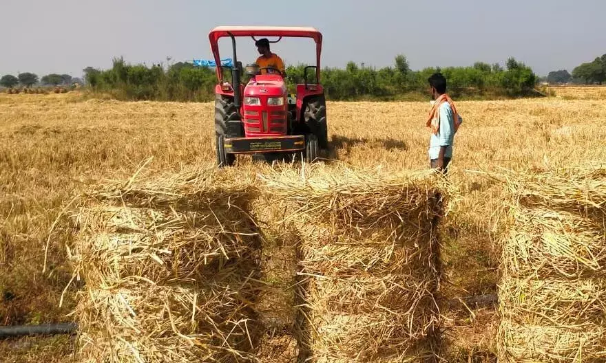 सरगुजा में किसानों के पैरा का अब होगा समुचित उपयोग- संजीव कुमार झा कलेक्टर सरगुजा