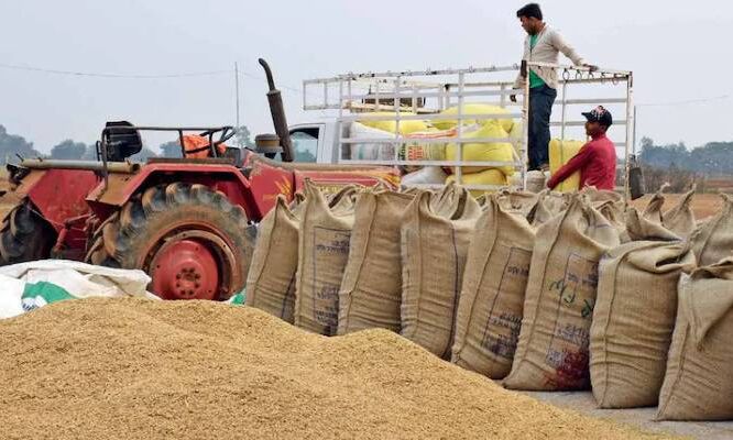 MPEUPARJAN: समर्थन मूल्य पर धान खरीदी 28 नवंबर से, कोई भी समस्या हो तो किसान भाई इस नंबर पर करें संपर्क, कंट्रोल रूम बना