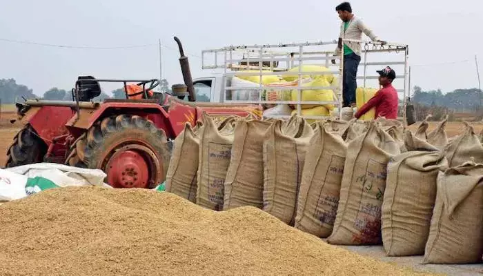 Paddy Procurement: छत्तीसगढ़ में 5.37 लाख टन धान की खरीदी: अब तक राज्य के लगभग 1.16 लाख से अधिक किसानों ने बेचा धान
