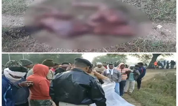 महिला को हाथी ने पटक, पटककर मार डाला.... टुकड़ो में मिला शव, वन विभाग मौके पर ...