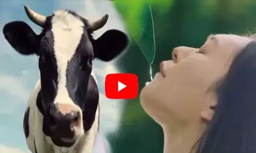 VIDEO: दूध बेचने वाली कंपनी ने गाय की जगह महिलाओं को दिखाया, सोशल मीडिया पर मचा बवाल तो फिर मांगनी पड़ी माफी