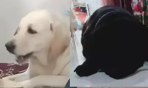 दो अंजान कब्र देख कर दहशत में आया मसीही समाज...हत्या कर लाश दफनाए जाने की आशंका, जांच में कब्र से निकली गुनु व मिक्कु की लाश