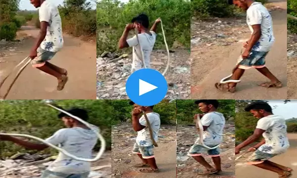 जिंदा सांप को एक हाथ से पकड़ा मुंह औऱ दूसरे हाथ से पूंछ...फिर किया शर्मनाक खिलवाड़....देखें ये खौफनाक वीडियो