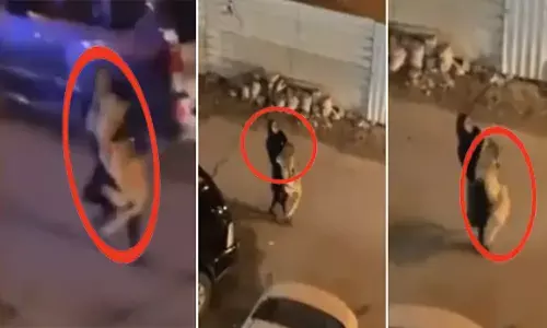 VIDEO: शेर को गोद में उठाकर तेजी से भाग रही महिला, देख कर लोगों के उड़े होश