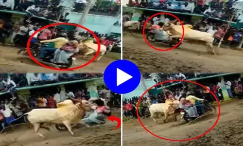 वीडियो: बाइक सवार महिला को सांड ने मारी जबरदस्त टक्कर, हवा में उड़ी, देखने वाले के उड़े होश