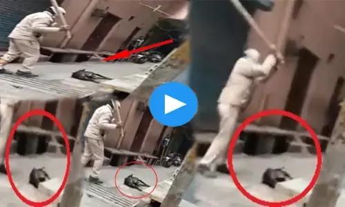 पुलिसकर्मी ने कुत्ते को बेरहमी से पीटा, वीडियो हुआ वायरल...जानिए क्या हैं वजह