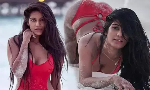 पोर्न वीडियो मामले में एक्ट्रेस पूनम पांडे को सुप्रीम कोर्ट से राहत, गिरफ्तारी पर लगाई रोक... जानें क्या है पूरा मामला