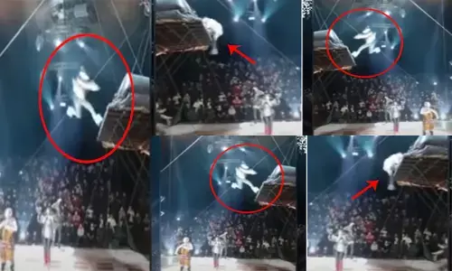 सर्कस में खतरनाक स्टंट, ऊंचाई से जमीन पर बुरी तरह गिरा युवक...सोशल मीडिया पर जमकर वायरल हो रहा वीडियो