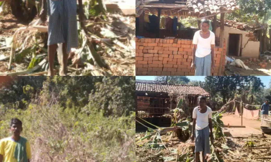 हाथी ने फिर उत्पात मचाया...इस बार जिले के अंतिम छोर में पहुँचा हाथियों का दल...वनांचल वासियों में खौफ...