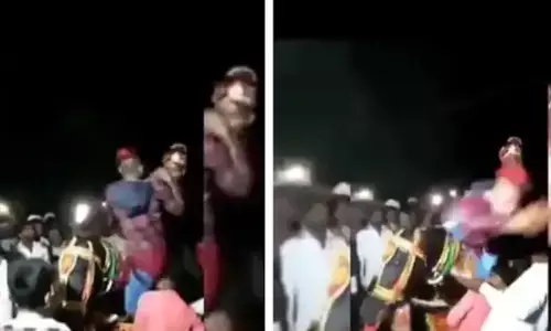 खतरनाक डांस : दूल्हे की घोड़ी पर चढ़कर नागिन डांस करने लगा युवक, देखकर नहीं रोक पाएंगे हंसी... देखें वीडियो