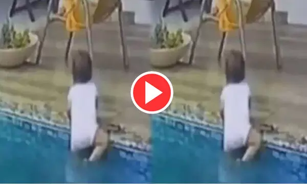 छोटी बच्ची खेलते-खेलते स्विमिंग पूल में जा गिरी, फिर जो हुआ देखकर खड़े हो जाएंगे रोंगटे... देखें वीडियो