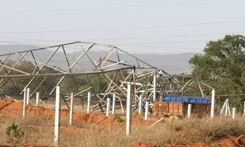 CG-टावर हादसे में मृत चारों मजदूर झारखंड के, CM भूपेश ने जताया शोक...