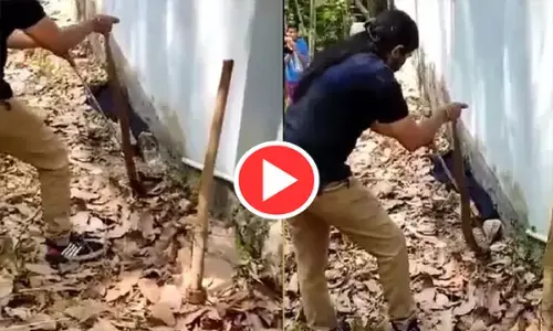 महिला का डेरिंगबाज VIDEO:  देसी जुगाड़ लगाकर महिला ने पकड़ा खौफनाक सांप, IFS अधिकारी भी हो गईं हैरान