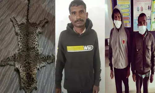 तेंदुआ खाल पकड़ाया... कर रहे थे ग्राहक की तलाश, तभी पुलिस ने धर दबोचा... तीन गिरफ्तार