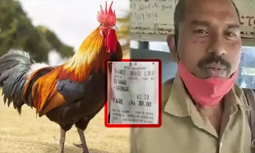 अजब गजब :  बस कंडक्टर ने मुर्गे का काटा टिकट, जानें फिर कैसे चुकाया किराया?... देखें VIDEO