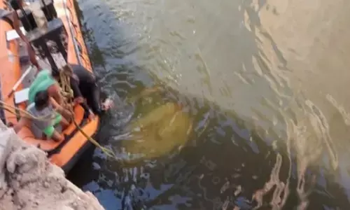 दर्दनाक हादसे में 9 की मौत: बारात में जा रही कार नदी में गिरी... दूल्हे समेत 9 लोगों की गई जान