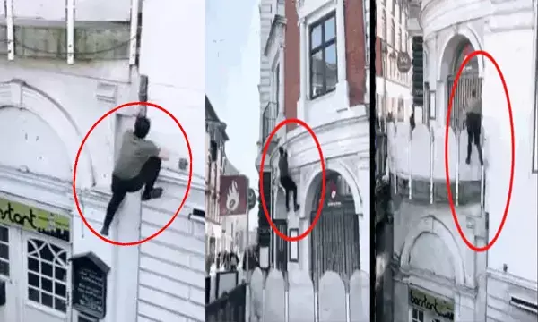 इंसान है या स्पाइडरमैन...दीवार पर चढ़ा शख्स, देखें हैरान करने वाला वायरल वीडियो...