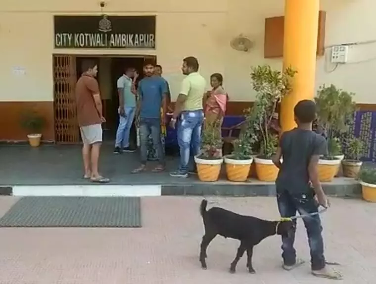 नन्हे बकरे के फेर में भिड़े दो परिवार.. मोहल्लेवासी और पार्षद की गवाही पर सुलझा मसला नन्हे बकरे के फेर में भिड़े दो परिवार.. मोहल्लेवासी और पार्षद की गवाही पर सुलझा मसला