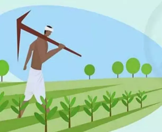 न्याय योजना में जुड़ेगा नाम: भूमिहीन कृषि मजदूर न्याय योजना के हितग्राहियों की सूची ग्राम पंचायतों में, 18 से 25 तक नाम जोड़ने या हटाने के लिए आवेदन