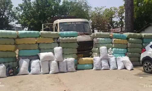 गांजा पर सबसे बड़ी कार्रवाई: ओडिशा से CG और MP में गांजा तस्करी का बड़ा रैकेट फूटा, 4.67 करोड़ का 22.40 क्विंटल गांजा जब्त, 9 गिरफ्तार