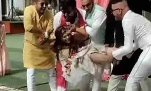 VIDEO: दुल्हन को स्विमिंग पूल में फेंका... चल रही थी हल्‍दी की रस्‍म,VIDEO को देखकर आप भी कहेंगे OMG....