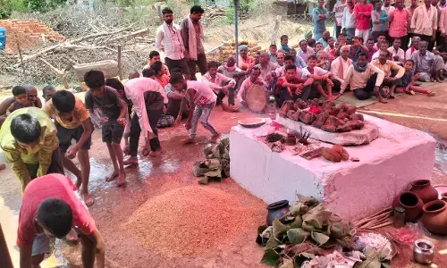 CG अक्ती तिहार की धूम... प्रदेश में इस तरह मनाया जा रहा अक्ती तिहार, सीएम के संदेश का वाचन, धरती-प्रकृति की रक्षा का संकल्प