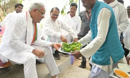 फॉरेस्ट अफसर होंगे सस्पेंड बिग ब्रेकिंग: एक्शन ने CM भूपेश, शिकायत मिलने पर मौके पर ही वन अधिकारियों को निलंबित करने के निर्देश दिया