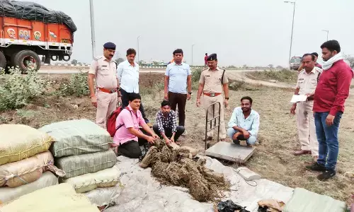 ट्रक में 24 लाख का गांजा: ट्रक में उड़ीसा से गांजा भरकर ले जा रहे थे नागपुर, पुलिस पुलिस ने पकड़ा, 480 किलो गांजा जब्त...