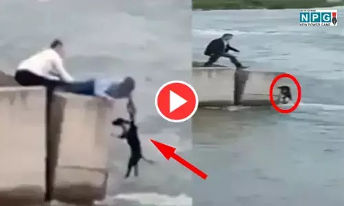 नदी में फंसे कुत्ते को बचाने पहुंचा शख्स, जान बचाने के लिए शादी से भागा दुल्हा... देखें वीडियो