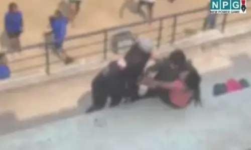 वीडियो: CG में दो लड़कियों के बीच जमकर मारपीट, स्टेडियम की ऑडियंस गैलरी में दोनों के गुतमगुत्थी का वीडियो हुआ वायरल