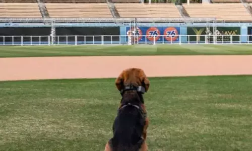 जल्दी खाली करो स्टेडियम...IAS अधिकारी घुमाएंगे अपना कुत्ता, एथलीटों से ये कहकर खाली करवाया जा रहा स्टेडियम