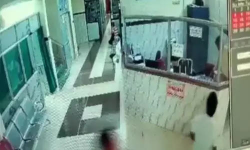 डॉक्टर मारपीट देखें exclusive वीडियो: कलेक्टर और संसदीय सचिव के साथ गए लोगों ने डॉक्टरों से की मारपीट, दो डॉक्टर का आधी रात इस्तीफा; जांच टीम बनी...