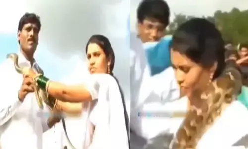 शादी का दिल दहला देने वाला VIDEO: जयमाला की जगह एक दूसरे पर डाल दिए जहरीले सांप... देखें
