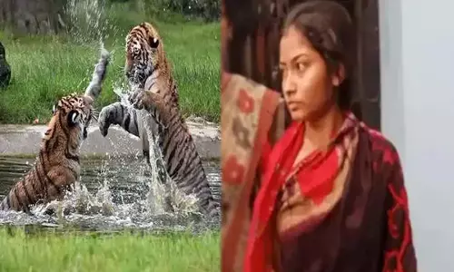 प्रेमी से मिलने बाघों से बचते मगरमच्छ से भरी नदी पारकर भारत पहुंची युवती... प्रेमी संग लिए फेरे, फिर पुलिस ने किया गिरफ्तार