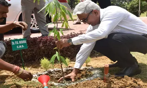 एसईसीएल मुख्यालय में विश्व पर्यावरण दिवस सोल्लासपूर्ण मनाया गया...