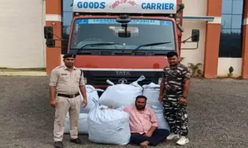 CG: आम के नीचे 1.22 करोड़ का गांजा, छतीसगढ़ के रास्ते उड़ीसा से मध्यप्रदेश हो रही थी तस्करी