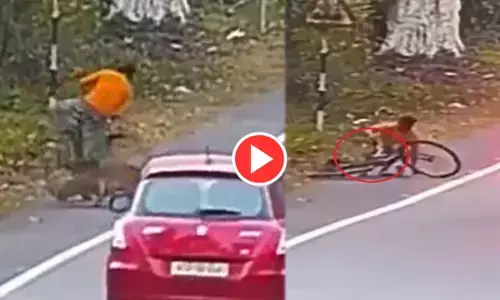 खौफनाक: साइकिल से जा रहा था शख्स, तभी अचानक तेंदुए ने किया हमला... देखिए दहला देने वाला वीडियो