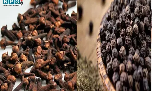 Astrology Tips: लौंग और काली मिर्च का कमालः आपके किचन में रखे ये दोनों मसाले बाधाओं को दूर कर जिंदगी बदल सकती है, पढ़िये इस खबर को