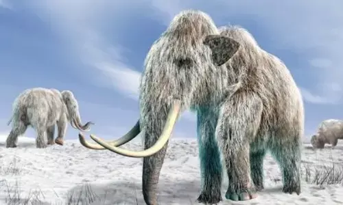 OMG: सोने की खदान से निकला हजारों साल पुराना दैत्य, जानवर की तरह है त्वचा... सुरक्षित है शरीर