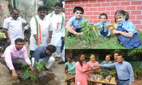 हर घर पौधा लगाने एकजुट हुआ रायपुर,  बच्चों और युवाओं ने स्कूल-कॉलेज में लगाए पौधे