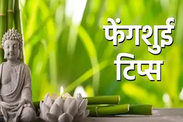 फेंगशुई टिप्स: घर में खुशियां आएंगी अपार, बनेगा हर काम, बस विंड चाइम लगाने से पहले जान लें ये बातें आप