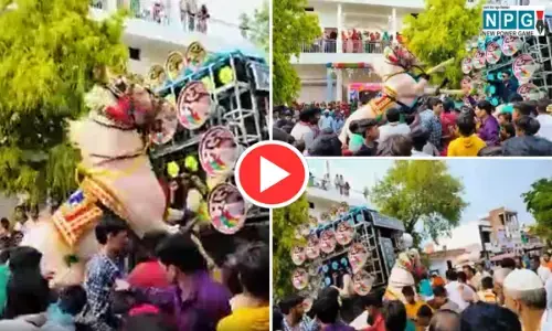 VIDEO: डीजे की धुन पर बेकाबू हुआ घोड़ा, बारातियों को रौंदते हुए भागा, 12 घायल... देखें
