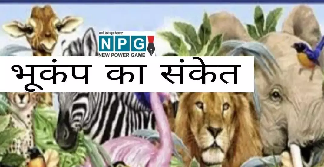 भूकंप का संकेत: सुनामी या भूकंप आने का पहले इन जीवों को हो जाता है आभास, बस इनके संकेतों के समझना सीख लें आप